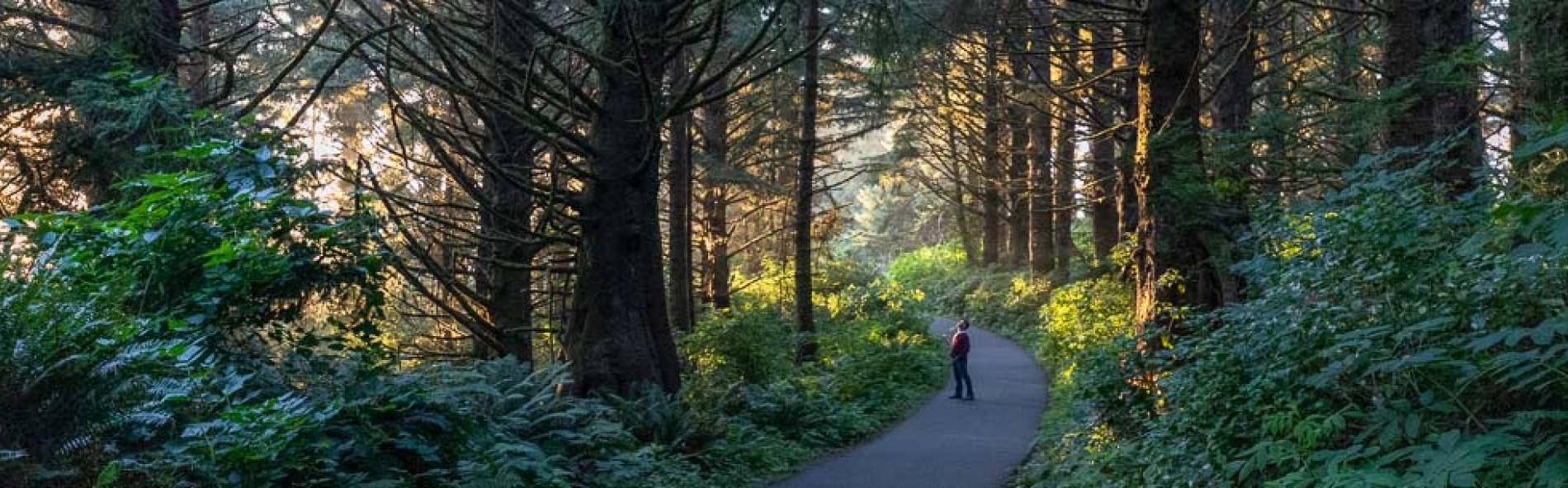 Washington Coast Vacation Rentals on Long Beach Bloomer Estates